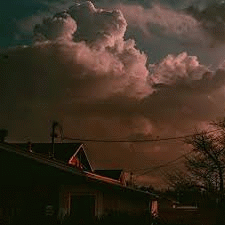 Outline In Color : Quarantine Sessions